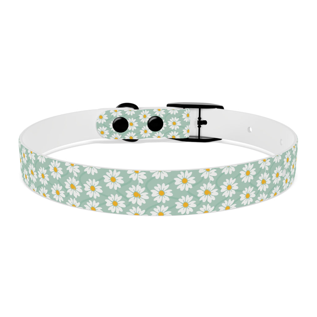 Daisy Print Dog Collar
