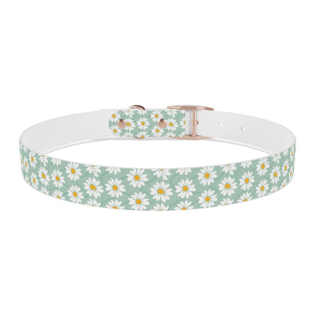 Daisy Print Dog Collar