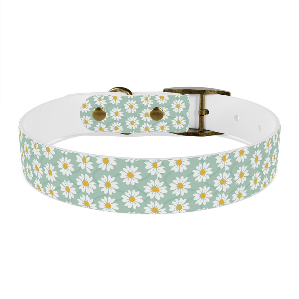 Daisy Print Dog Collar