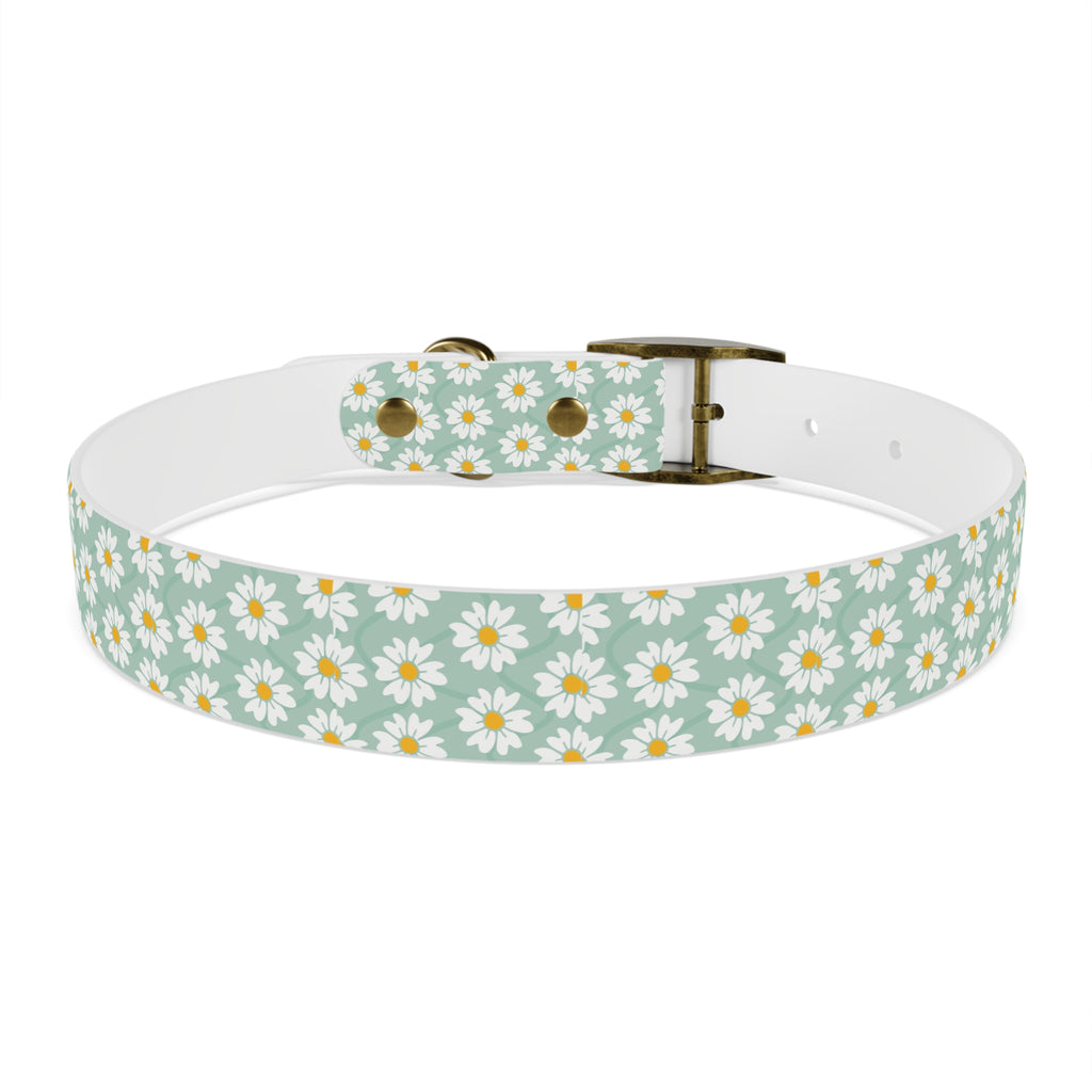 Daisy Print Dog Collar
