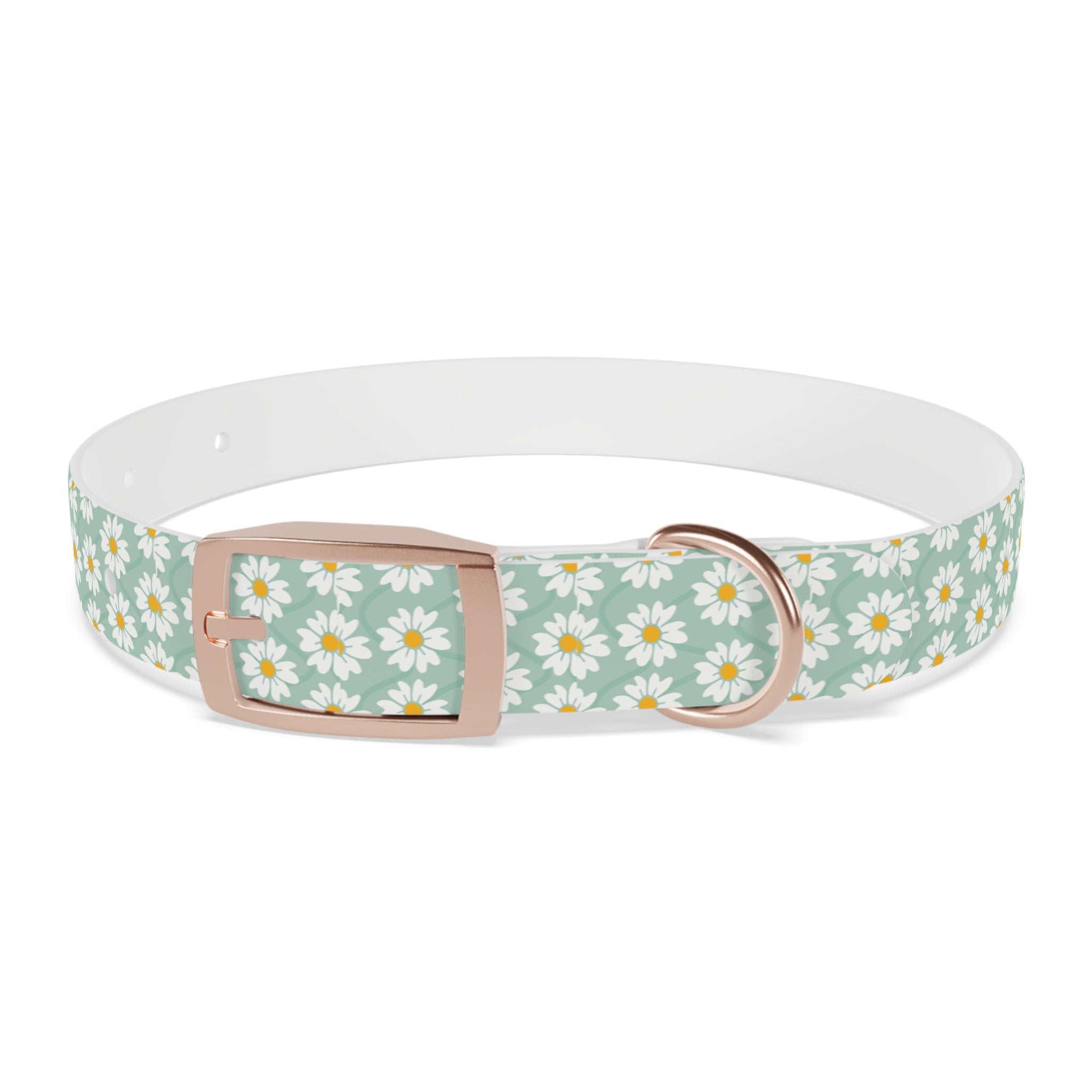Daisy Print Dog Collar