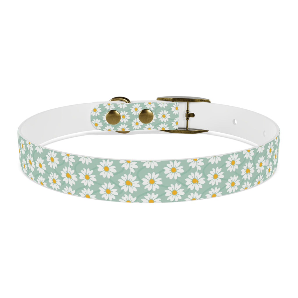 Daisy Print Dog Collar