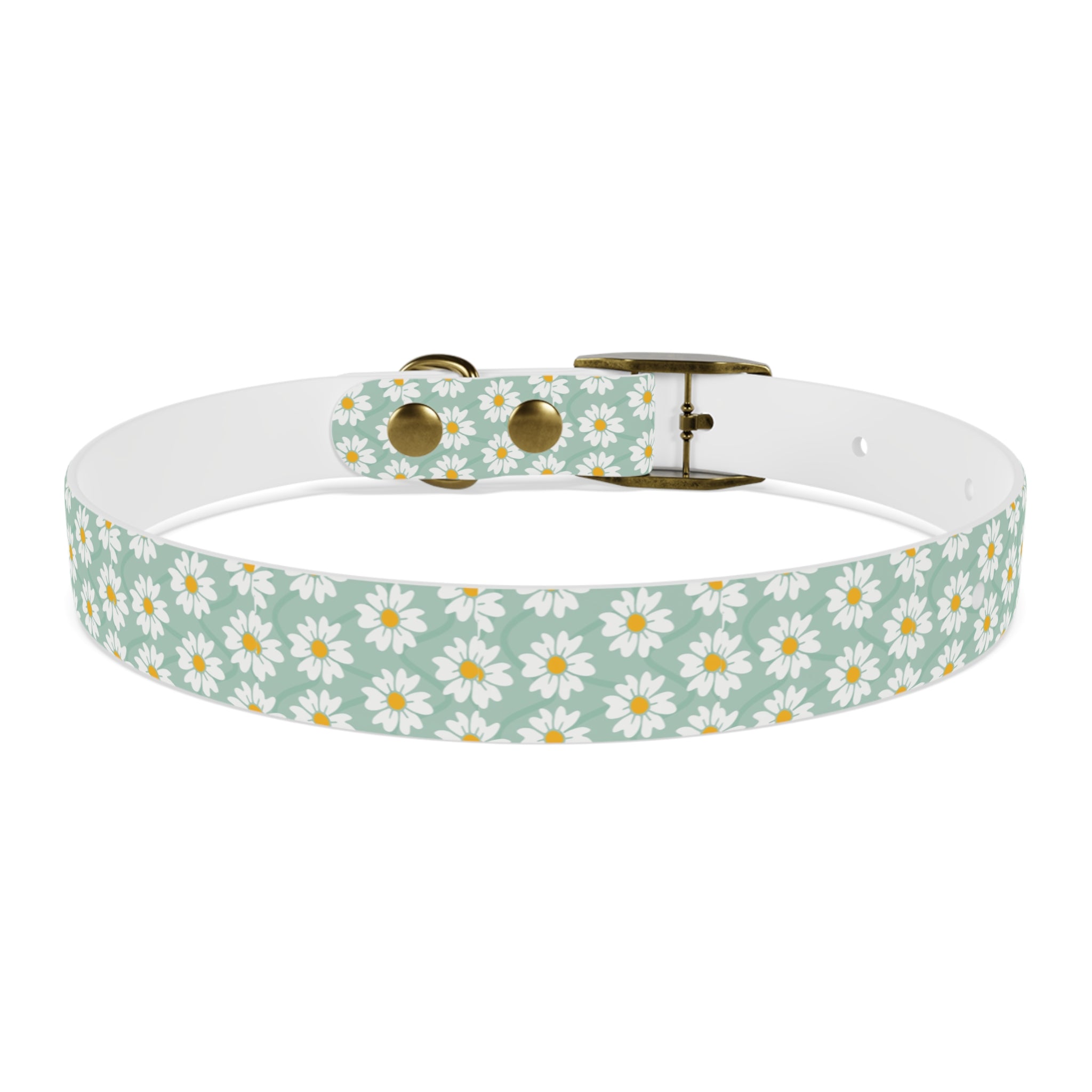 Daisy Print Dog Collar