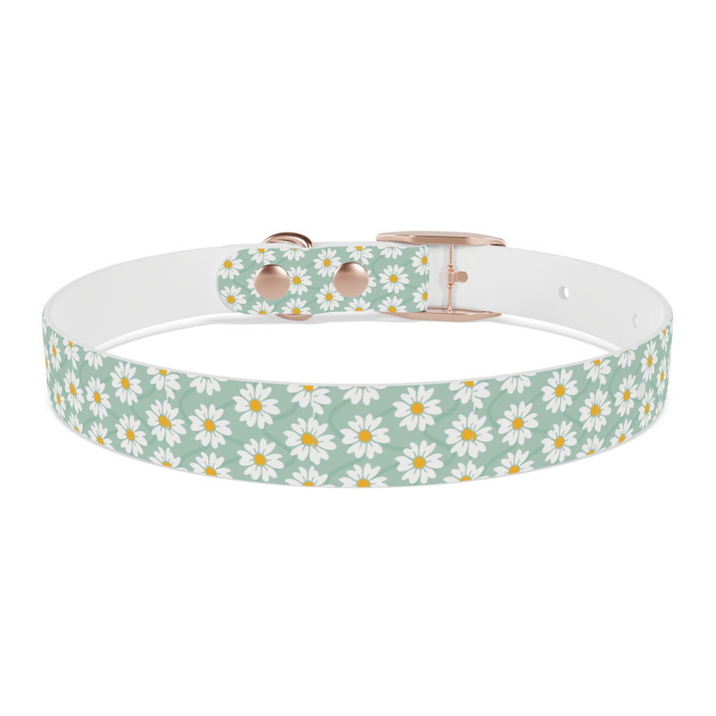Daisy Print Dog Collar