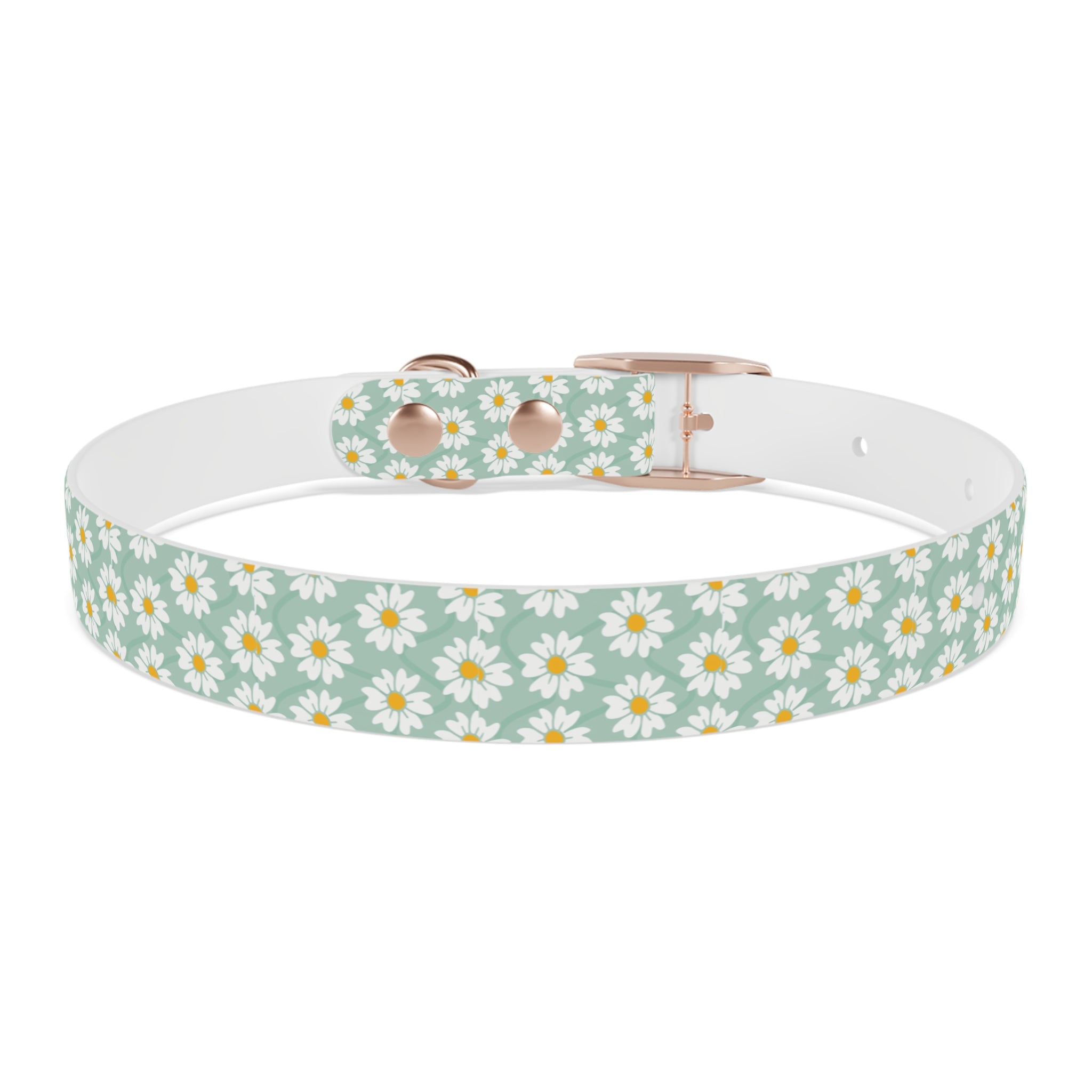 Daisy Print Dog Collar