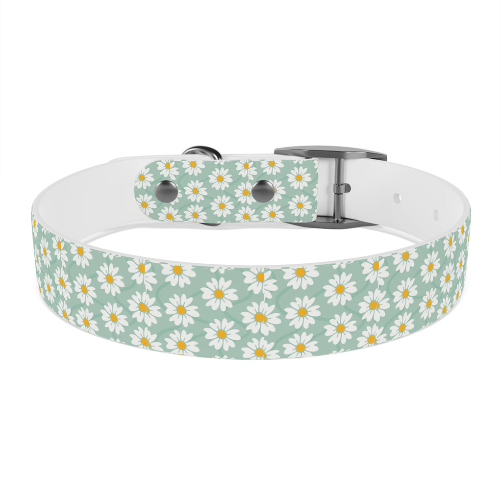 Daisy Print Dog Collar