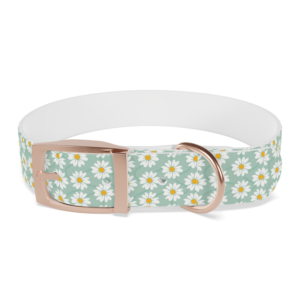 Daisy Print Dog Collar