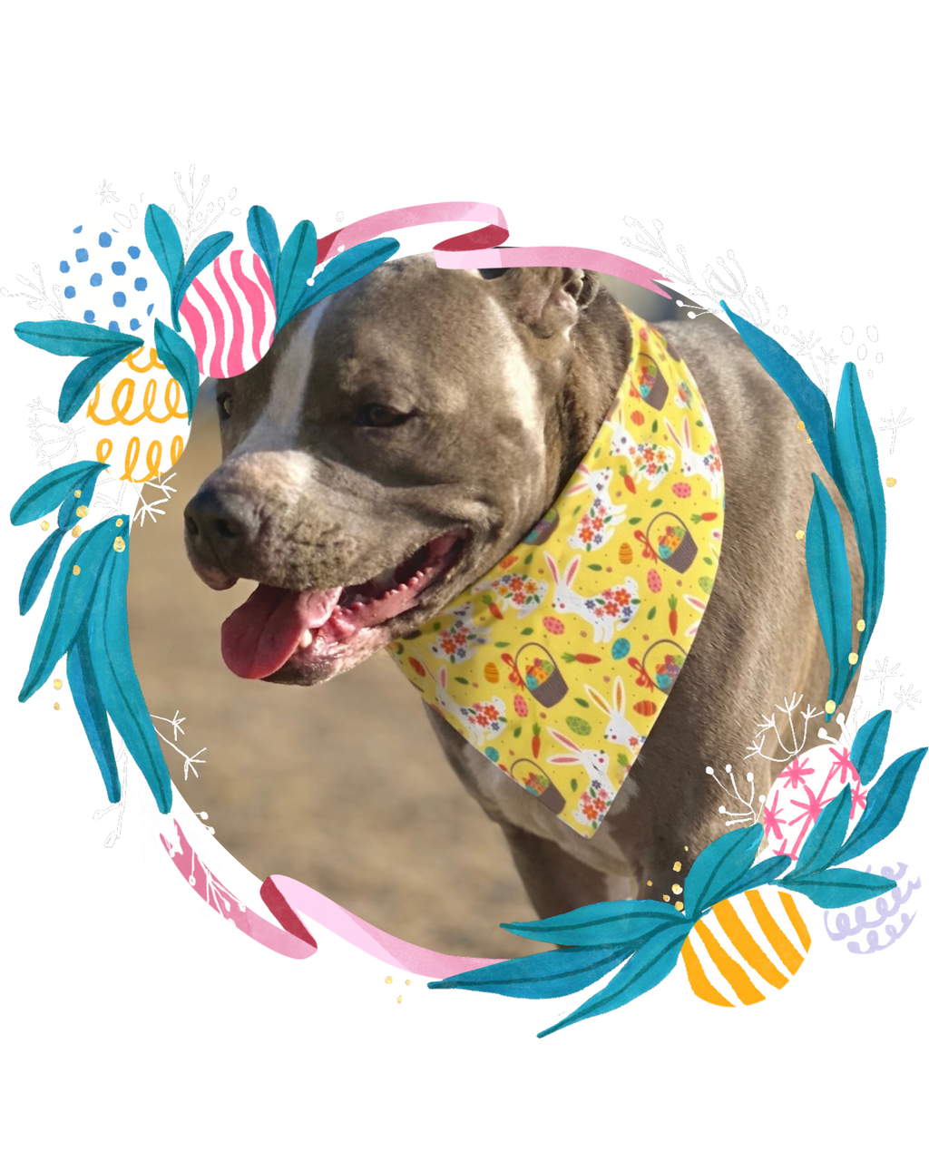 Easter Bunny & Basket Pet Bandana — Yellow Spring Floral Dog Bandana
