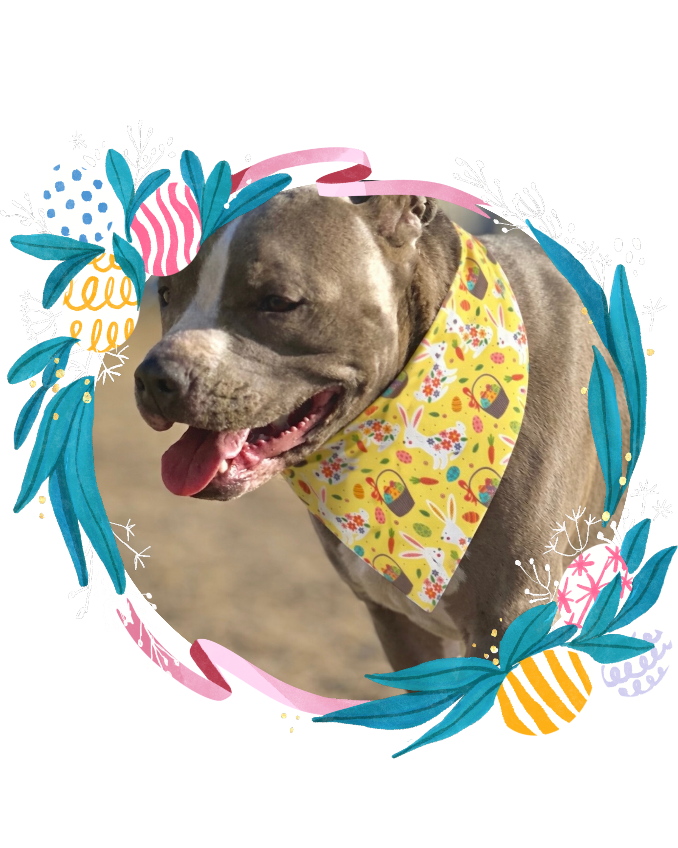 Easter Bunny & Basket Pet Bandana — Yellow Spring Floral Dog Bandana