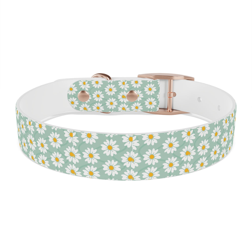 Daisy Print Dog Collar