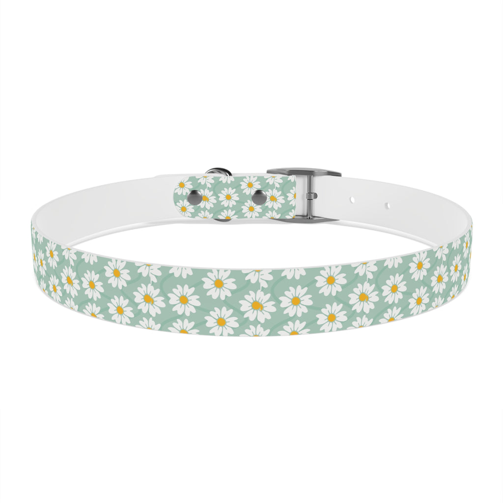 Daisy Print Dog Collar
