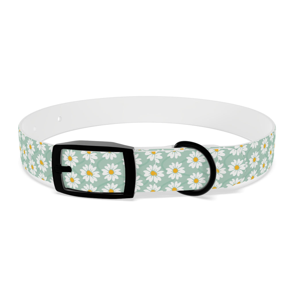 Daisy Print Dog Collar