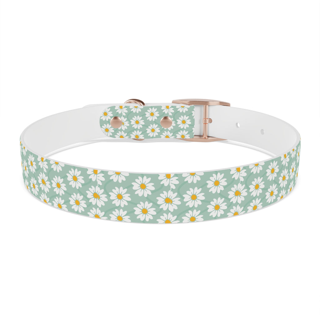 Daisy Print Dog Collar