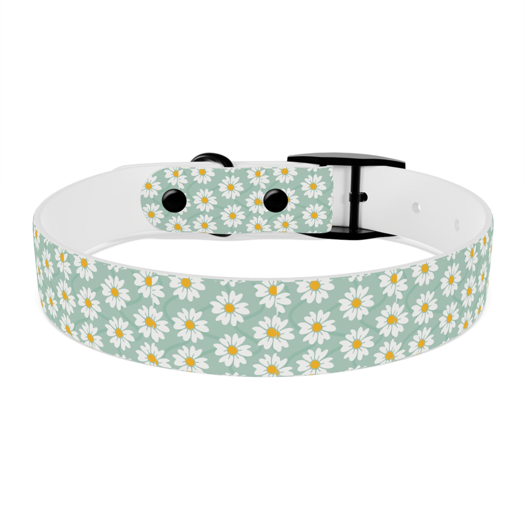 Daisy Print Dog Collar