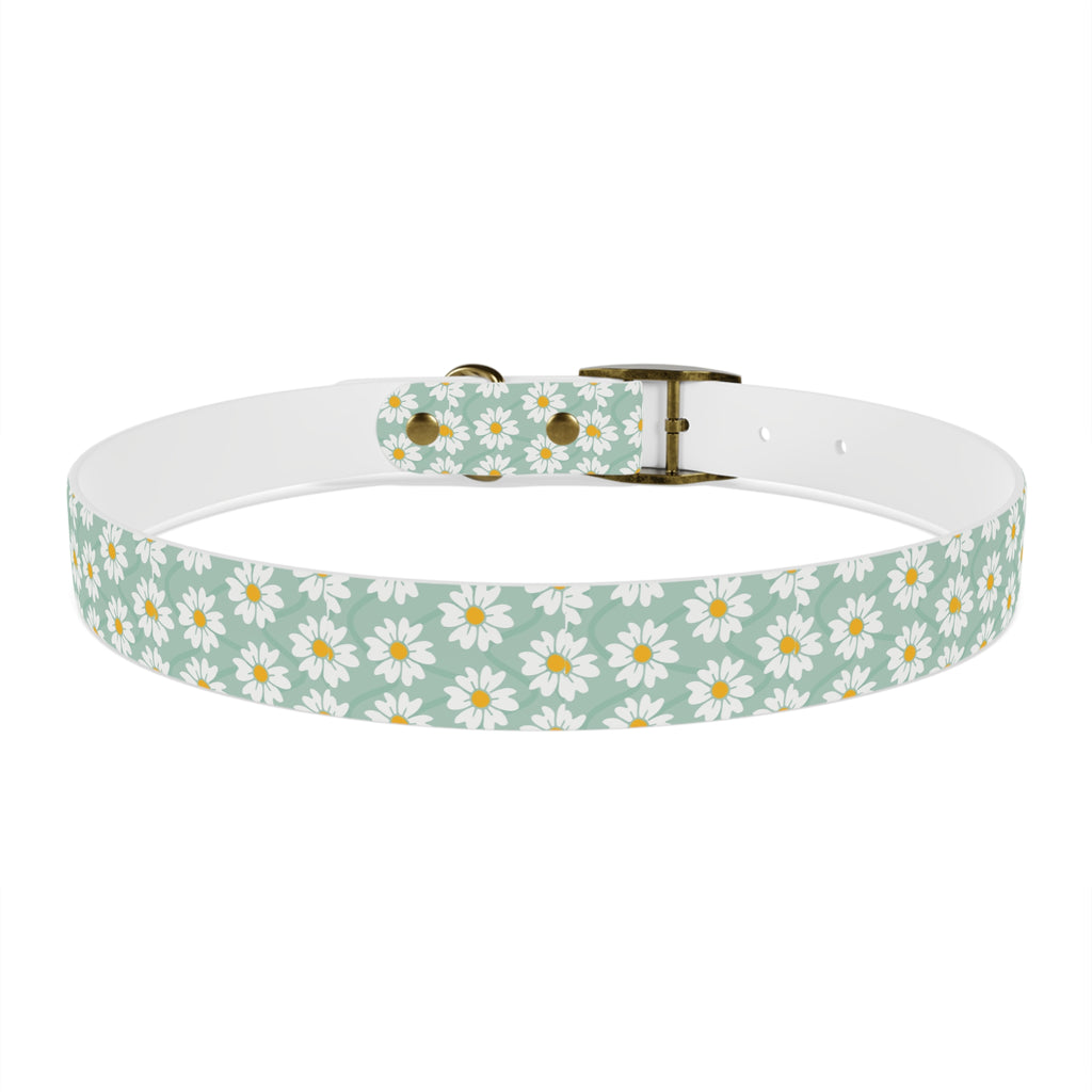 Daisy Print Dog Collar