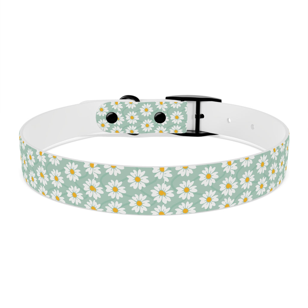 Daisy Print Dog Collar