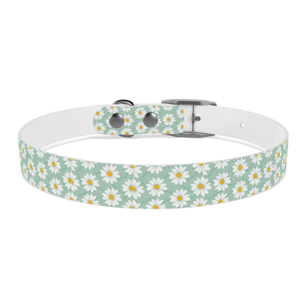 Daisy Print Dog Collar