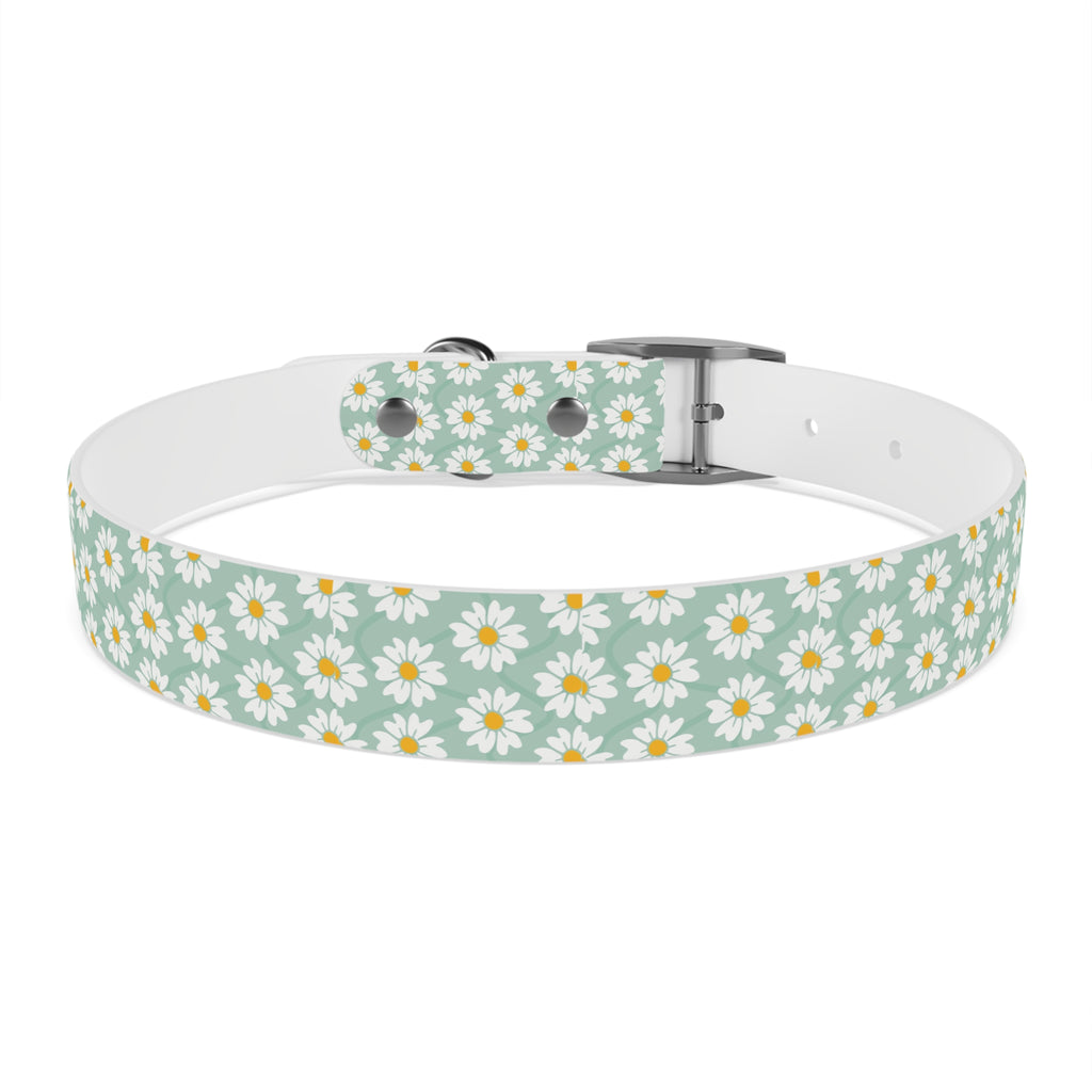 Daisy Print Dog Collar